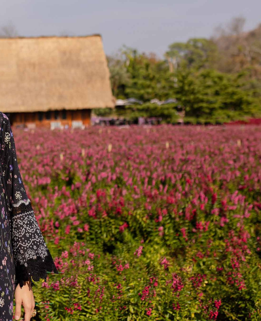 Pashtun Collections | NUREH Bloom '25 Lawn | BL-04